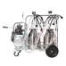 Aparat de muls Vepemir (2posturi / 2 bidoane) Full Inox