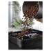 Aparat de cafea Delonghi ECAM310.60.GB