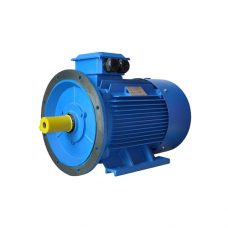 Motor electric Elmos Y2 200 (Y2-200L-6)