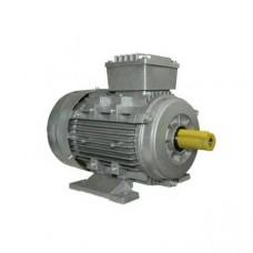 Motor electric Elmos MS90S-6