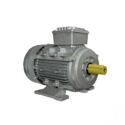Motor electric Elmos MS90S-6