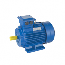Motor electric Elmos MS90L-4 (MS9041.5B3) Motor electric Elmos MS90L-4 (MS9041.5B3)