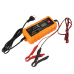 Incarcator acumulator auto Hoteche P817204
