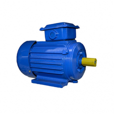 Motor electric Elmos AIR 112 M8 (AIR112MA82.2B3)
