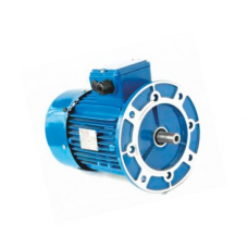 Motor electric Elmos Y2 225 (Y2-225S-6)