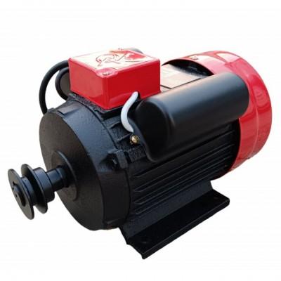 Motor electric Yamamoto YL90L-2