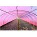 Пленка розовая UV+AB+LD+EVA 150мкр. H-6m L-45m (36 месяцев) Турция