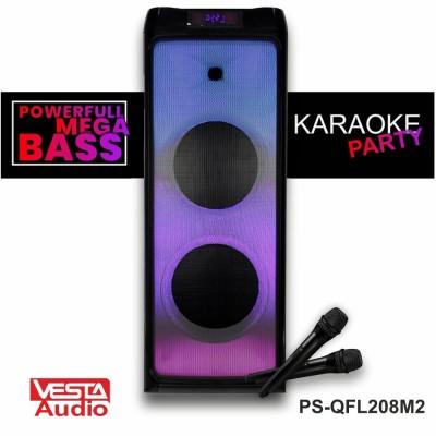 Портативная акустика Vesta PS-QFL208M2