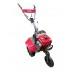 Motocultor Weima WM500