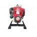 Мотопомпа Elefant WP35