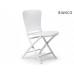 Scaun Zac Classic
