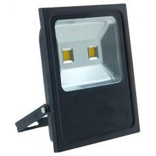 Прожектор Elmos LED-E018 (LEDE018100)