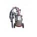 Aparat de muls Vepemir (1 post Inox/1 bidon 30l. Inox)