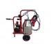 Aparat de muls Vepemir (1 post/1 bidon 30l. inox)