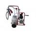 Aparat de muls Vepemir (1 post/1 bidon 30l.)